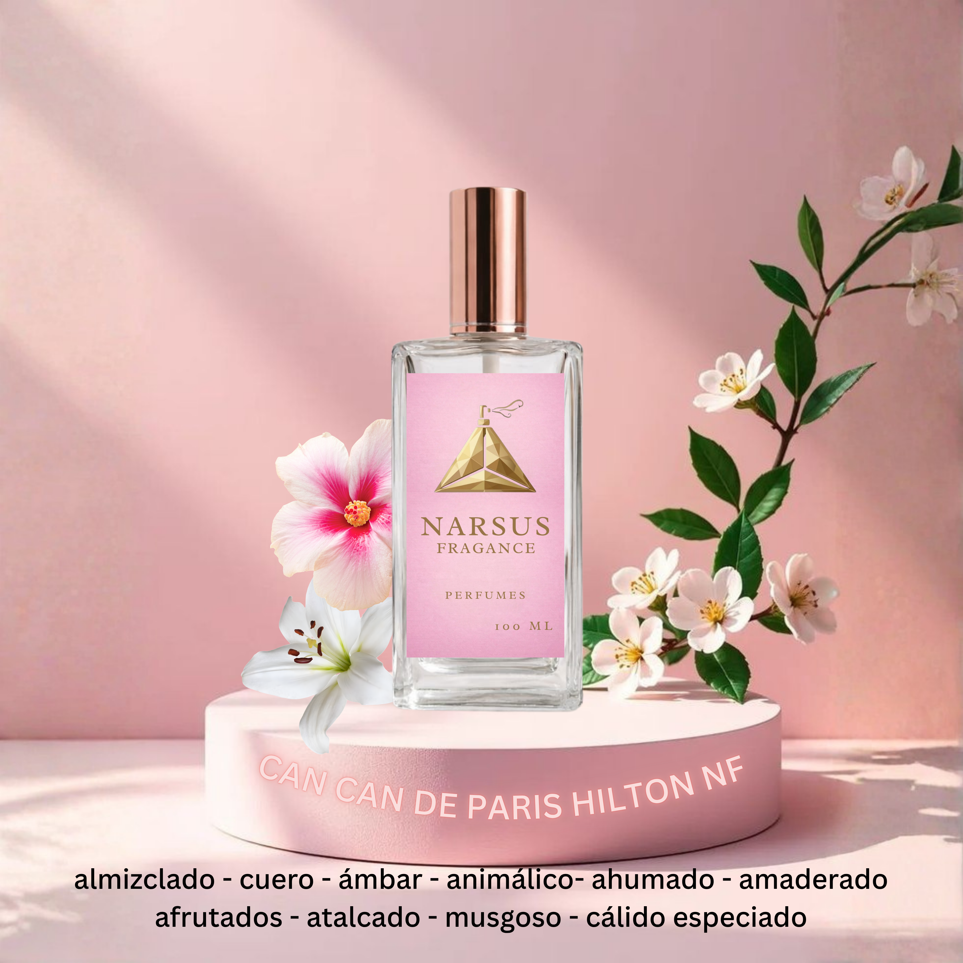 CAN CAN DE PARIS HILTON NF
